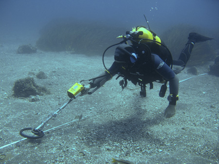 Metal detector