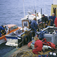 Resurgam Submarine