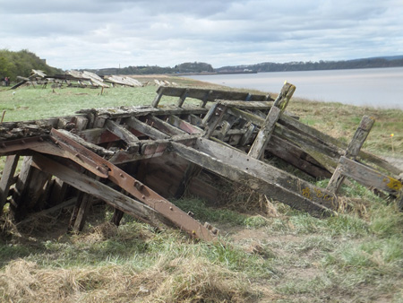 Severn Collier